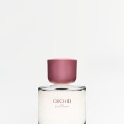 orchid zara