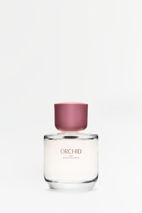 orchid zara orchid zara
