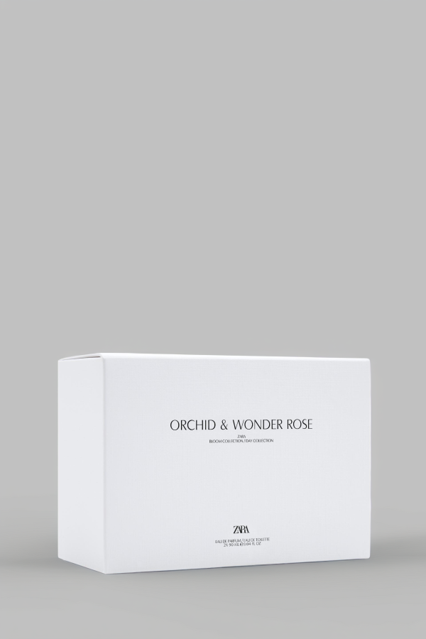zara2 site