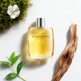 burberry-for-men___260109 (1)