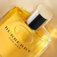 burberry-for-men___260109 (2)